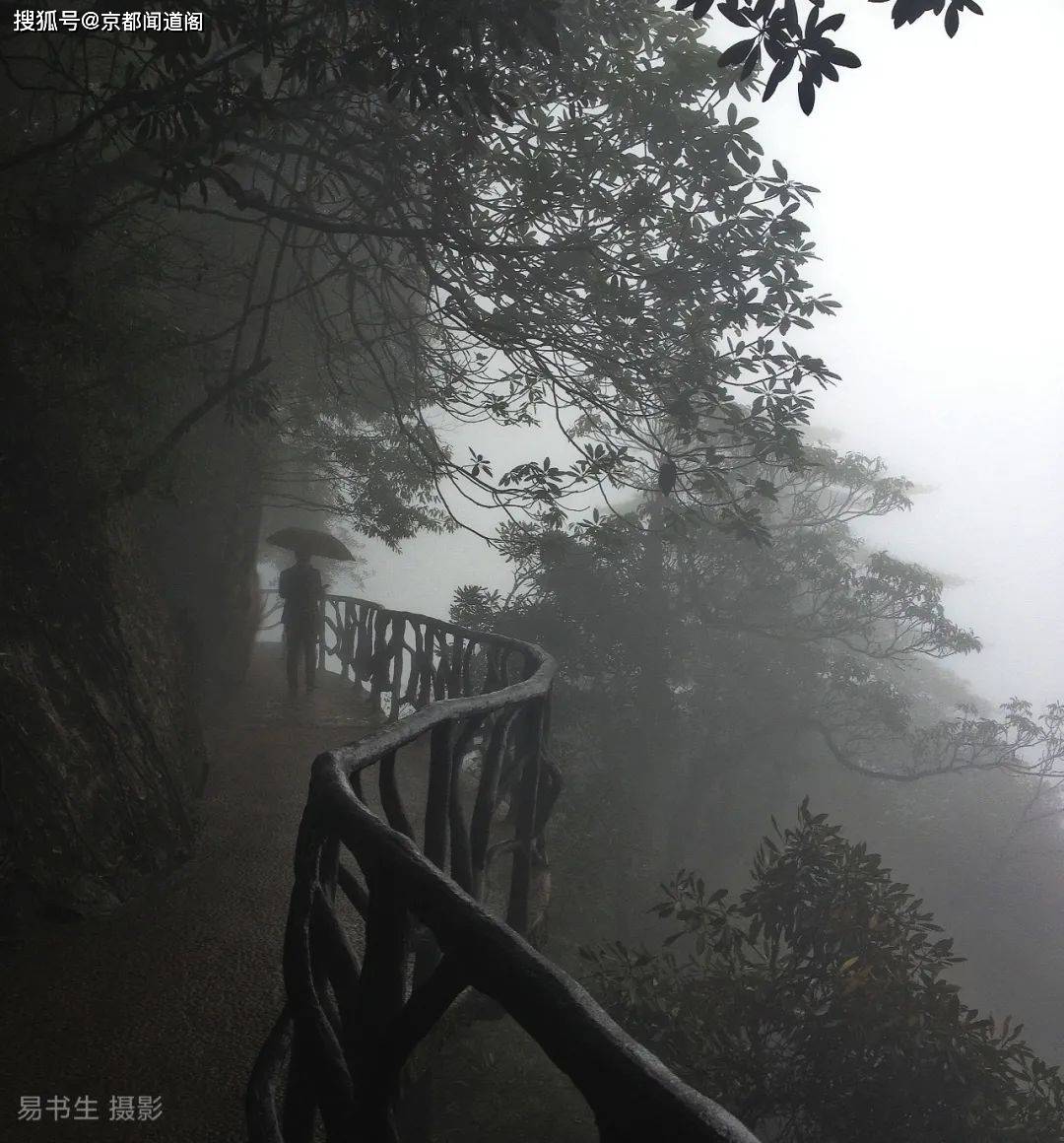 曹旭 晨暮