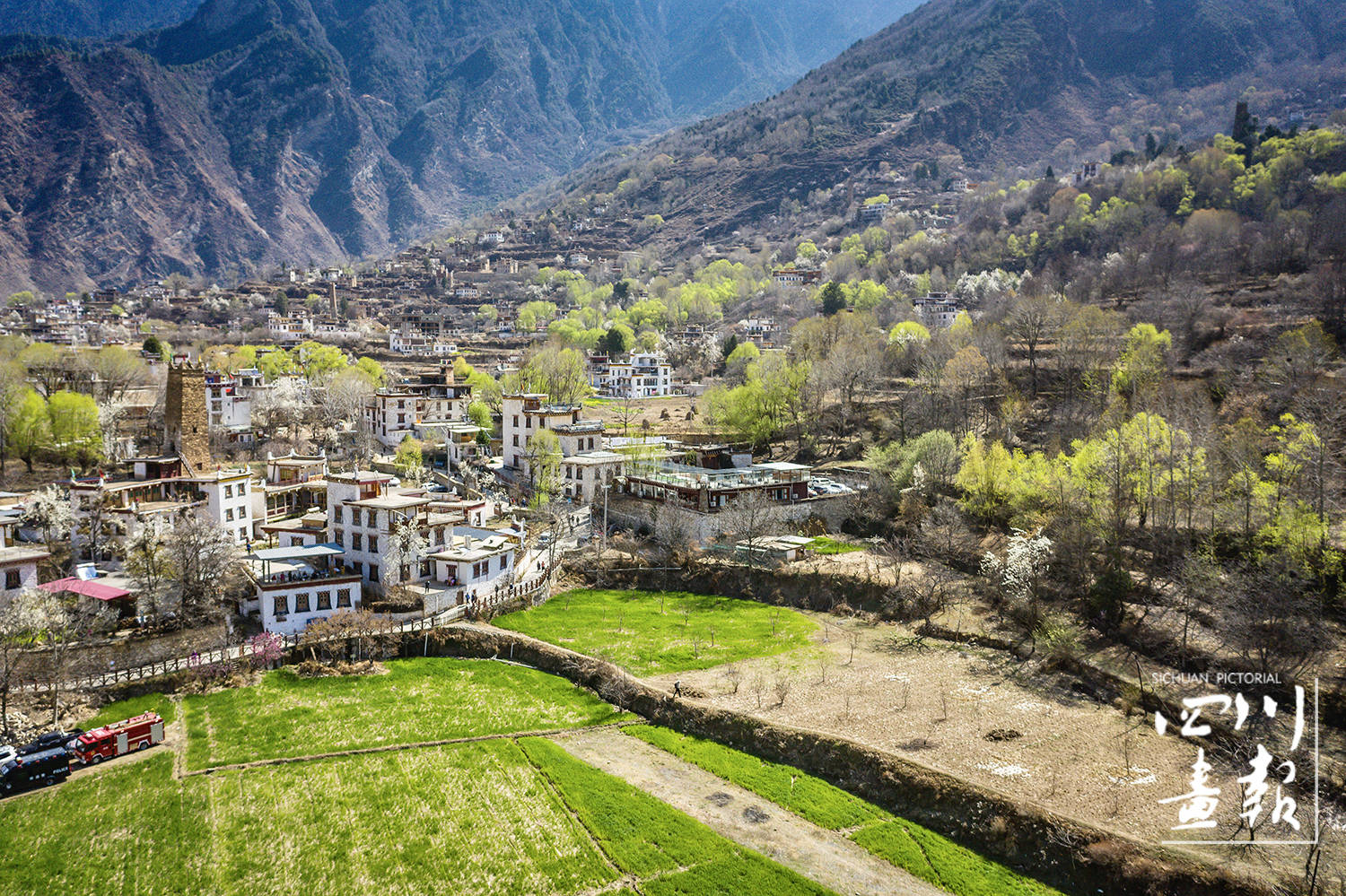 画卷天府百花迎春丹巴2024美人谷梨花春赏季活动精彩开启