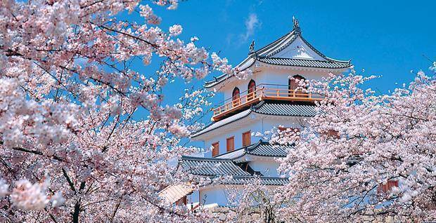 原创冬日访宫城与可爱小狐狸邂逅享用季节美食在白石城中赏粉樱