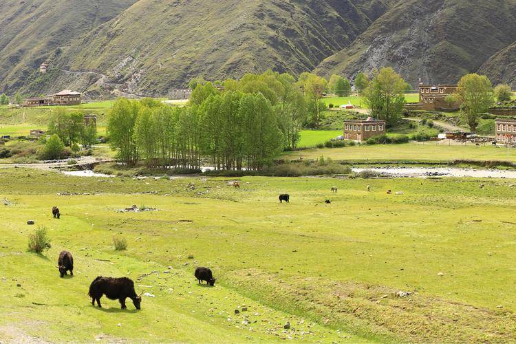 day3新都桥-木格措-二郎山-雅安-成都day2丹巴-墨石公园-塔公草原