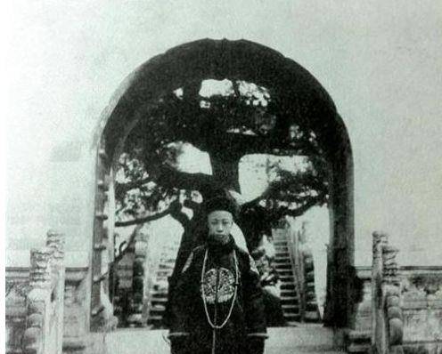 原创溥仪退位后他不甘心率领清军一连攻下18座差点打下一片江山