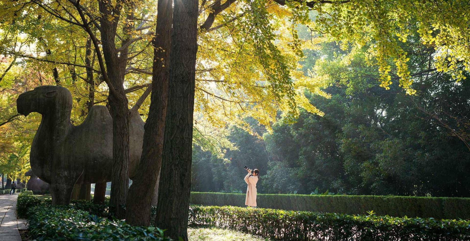 原创我国最大的帝王陵墓被誉为明清皇家第一陵就在南京紫金山