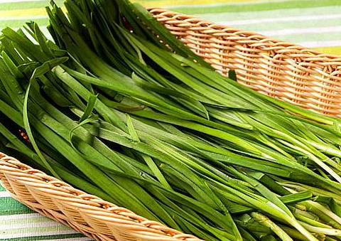 老菜农教你挑韭菜:看到"这2种"白送都不要,现在知道正是时候_营养