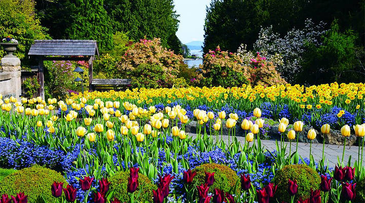 人们说,在那花园里,春天永驻,百花齐放,蝴蝶翩翩起舞,鸟语花香构成了