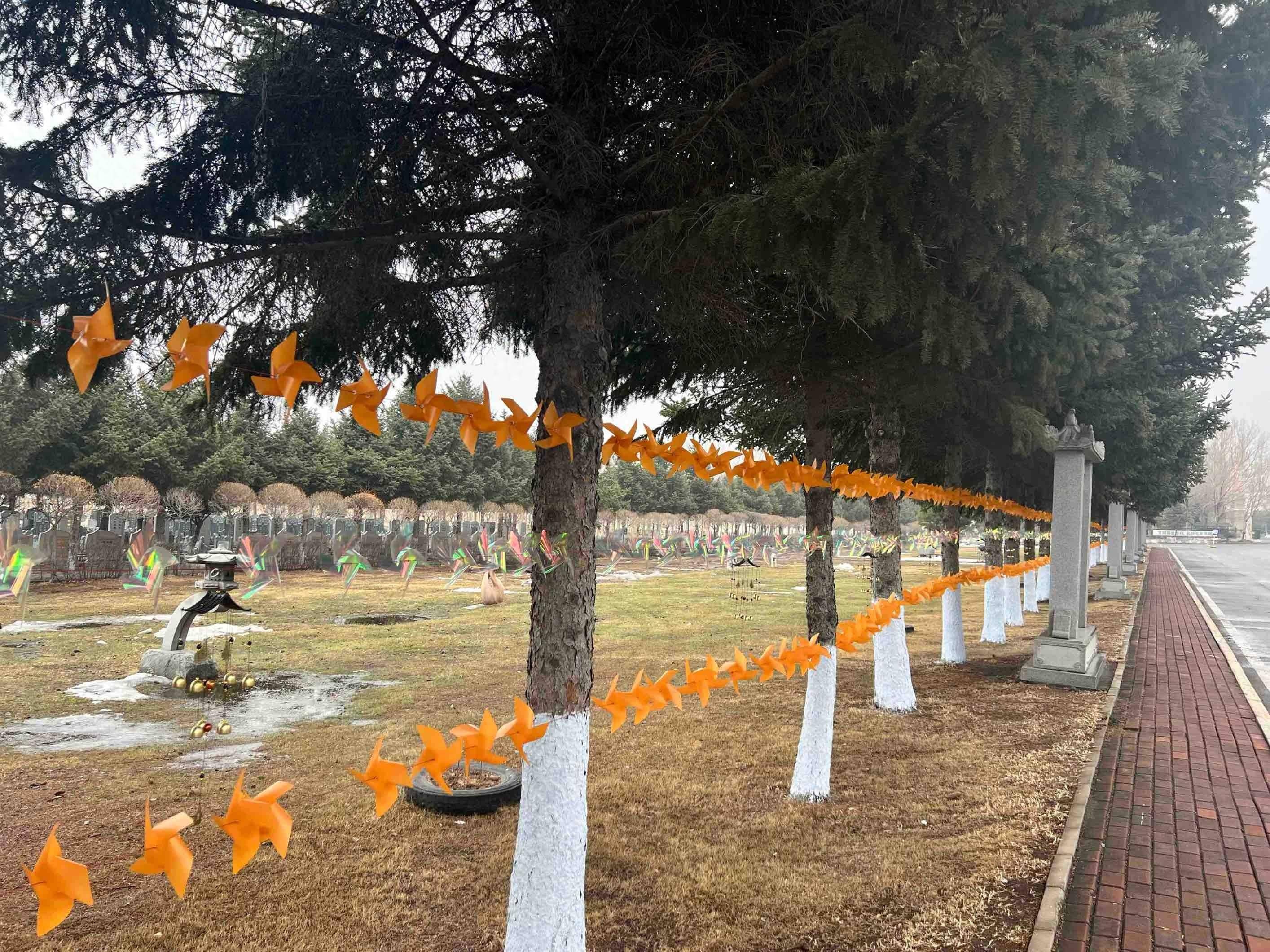 祭祀新形式受欢迎23日冰城外出祭扫市民减三成