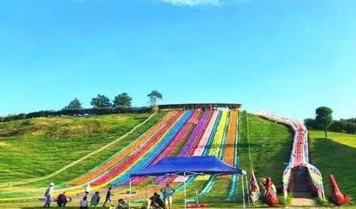 级名马汉诺威,比利时温血马bwp,荷兰温血马kwpn;西班牙安达卢西亚马