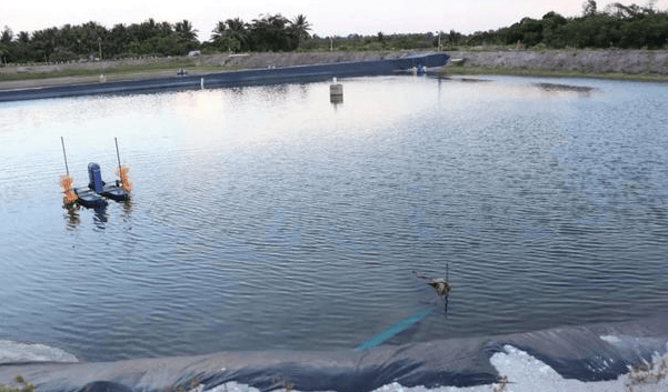 水产养殖水面有油膜?池塘出现油膜最好处理方法?高效调水法_水体_物质