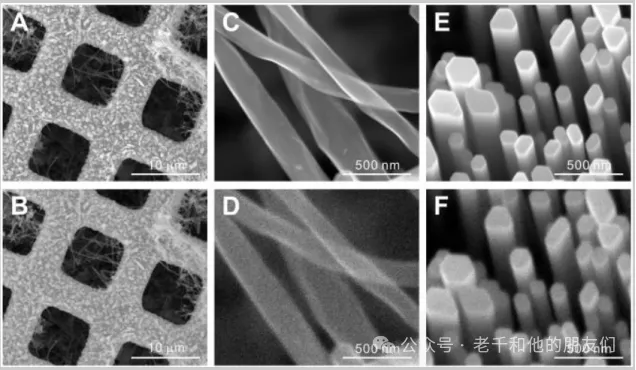 扫描超快电子显微镜suem技术导论