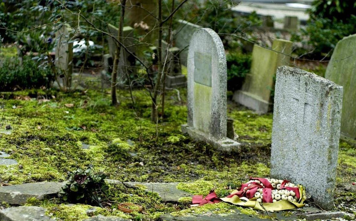 原创清明节快到清明要躲藏不如床上躺清明节有5人要躲坟