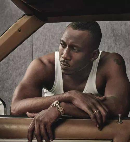 拿美军尸体运毒大发横财,每天狂赚700万_弗兰克·卢卡斯_毒贩_毒品