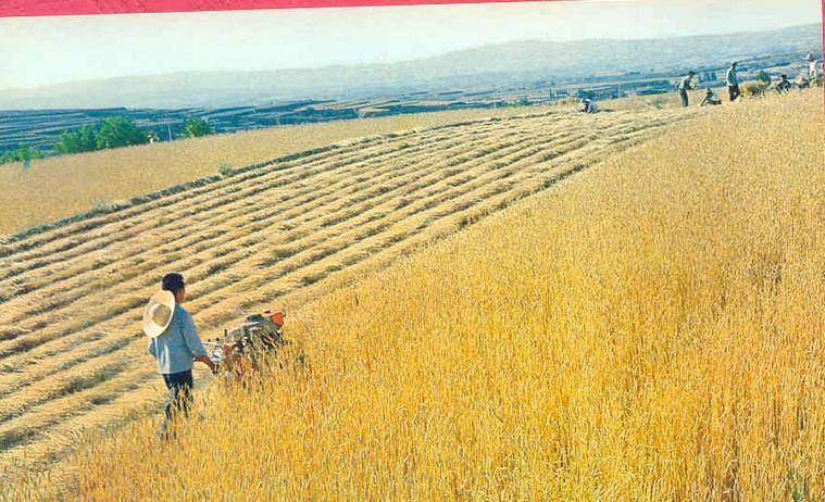 原创实拍1978年的大寨艰苦奋斗热闹非凡图7的场景当时非常罕见