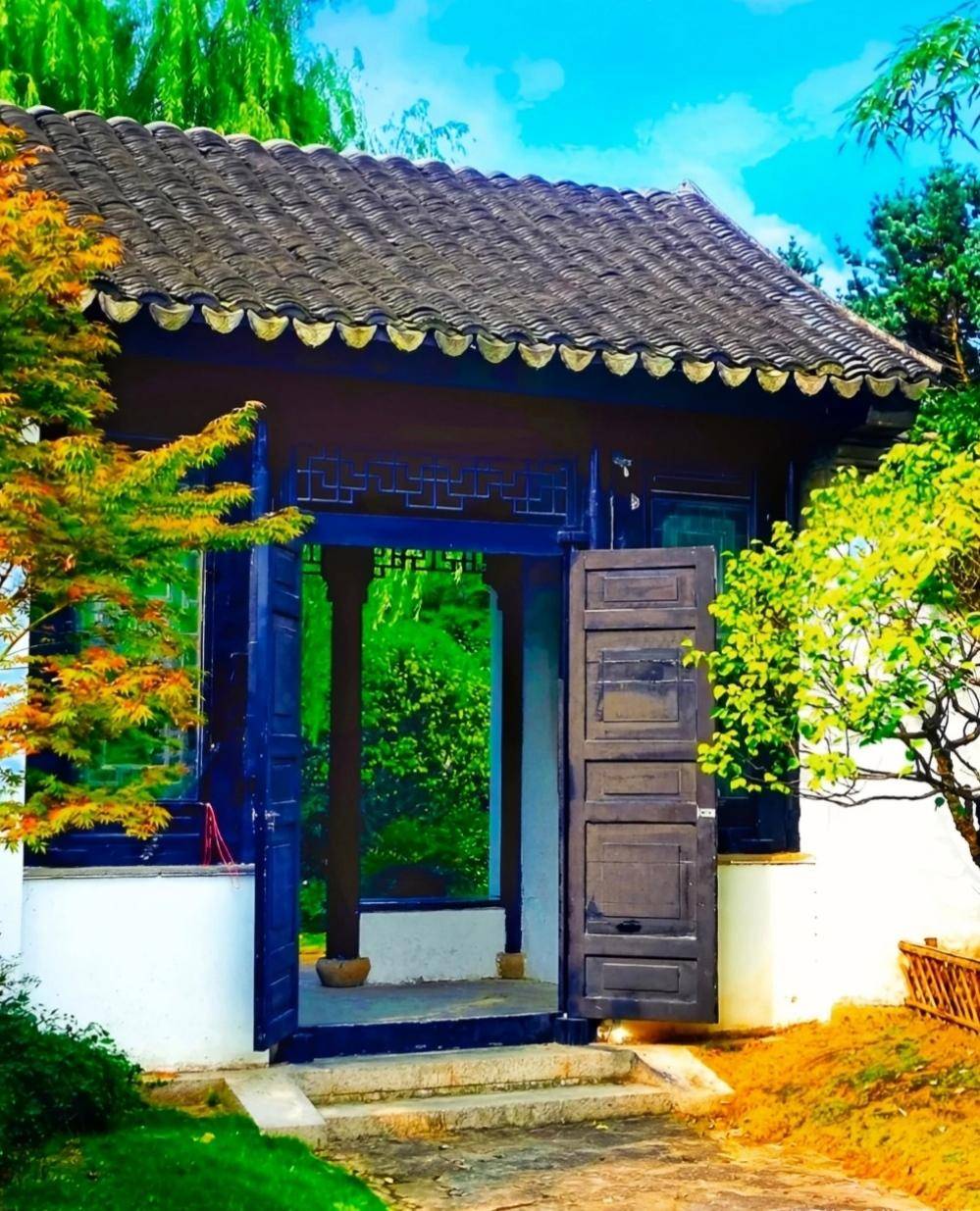 原创上海金山荟萃园自然之美