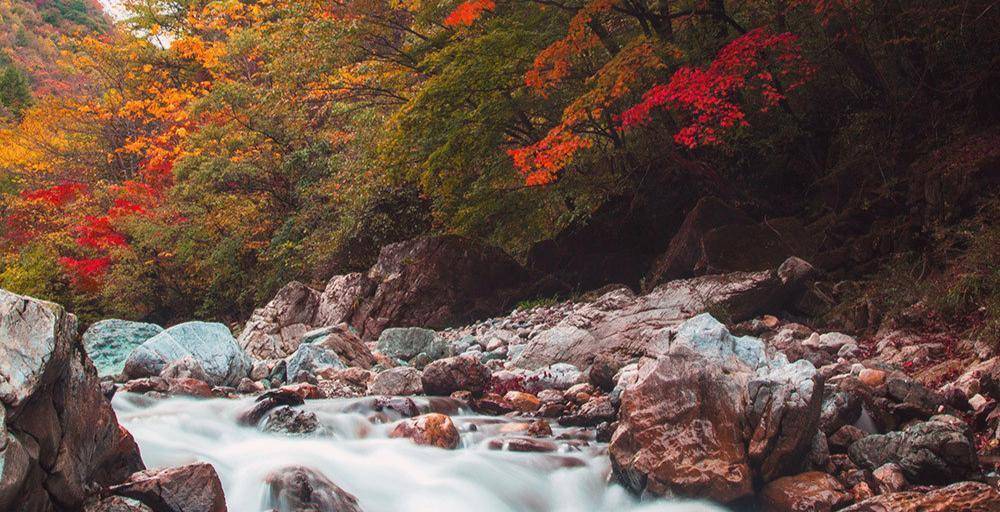 秋山不可尽,秋思亦无垠.