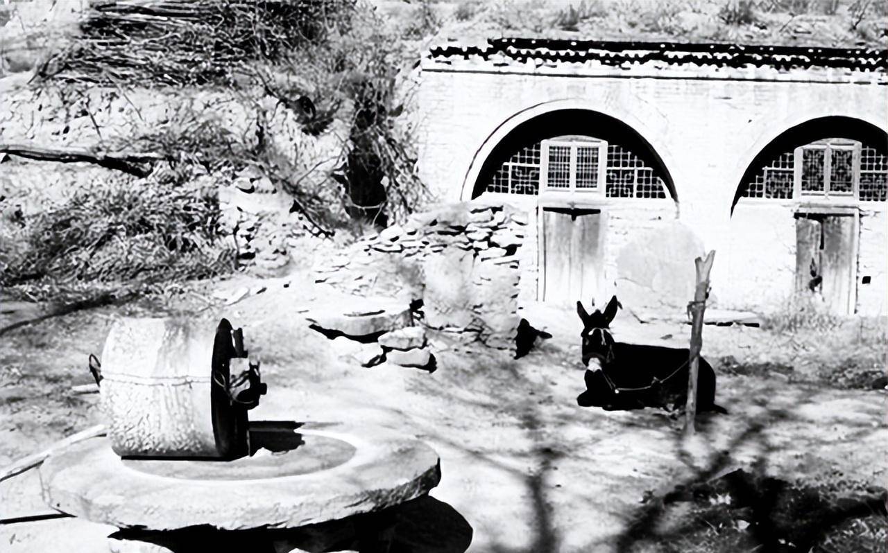 冯家坪的里面住着的几十户人家,家家户户的院墙都像是荒废许久的残垣