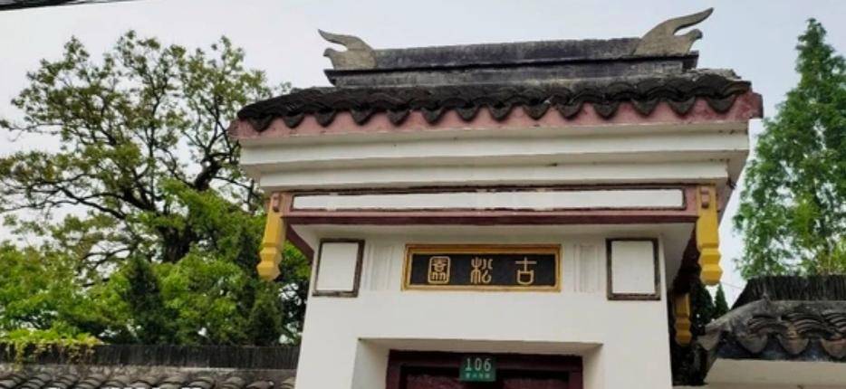 原创上海金山亭林古松园隐藏在都市中的魅力园林