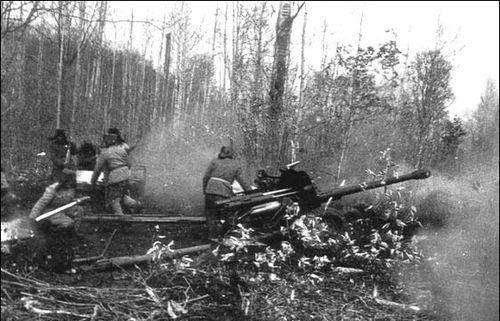 "寸土必争":中苏边界之争永远铭记的珍宝岛战役_中国_苏军_苏联政府