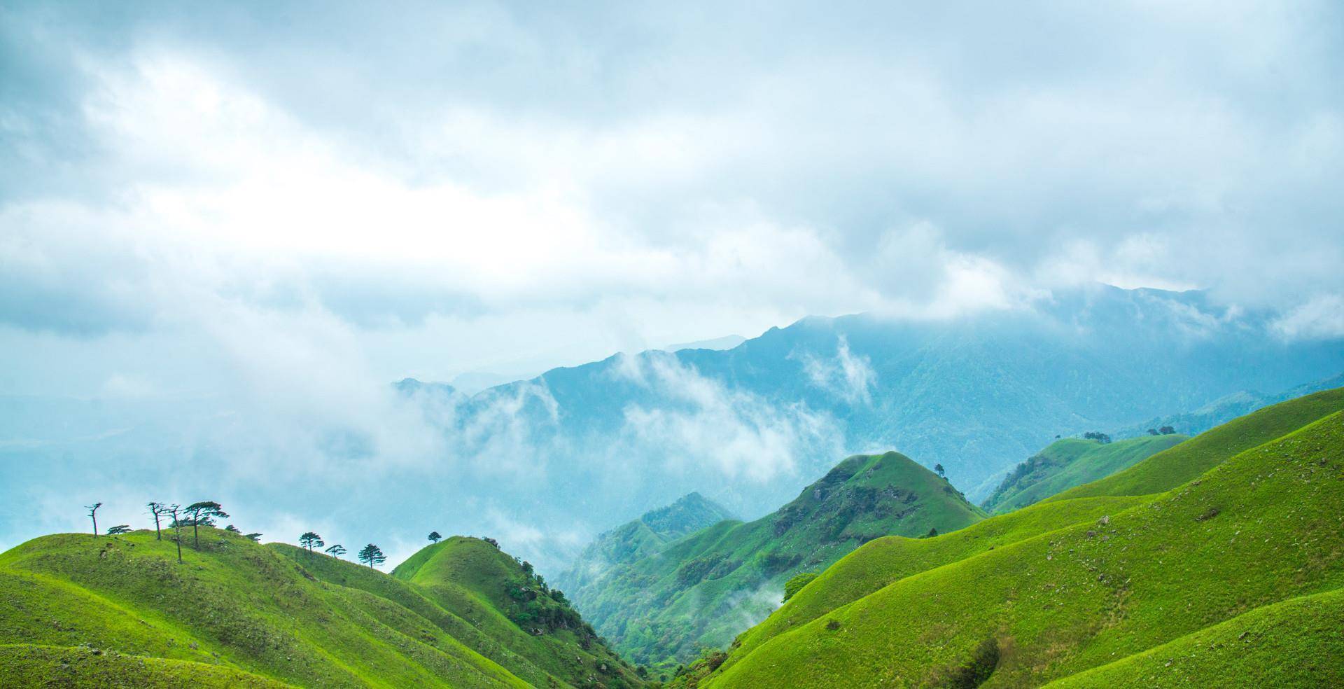 原创武功山金顶草甸或将易主投资几千万开发萍乡有人想摘桃子
