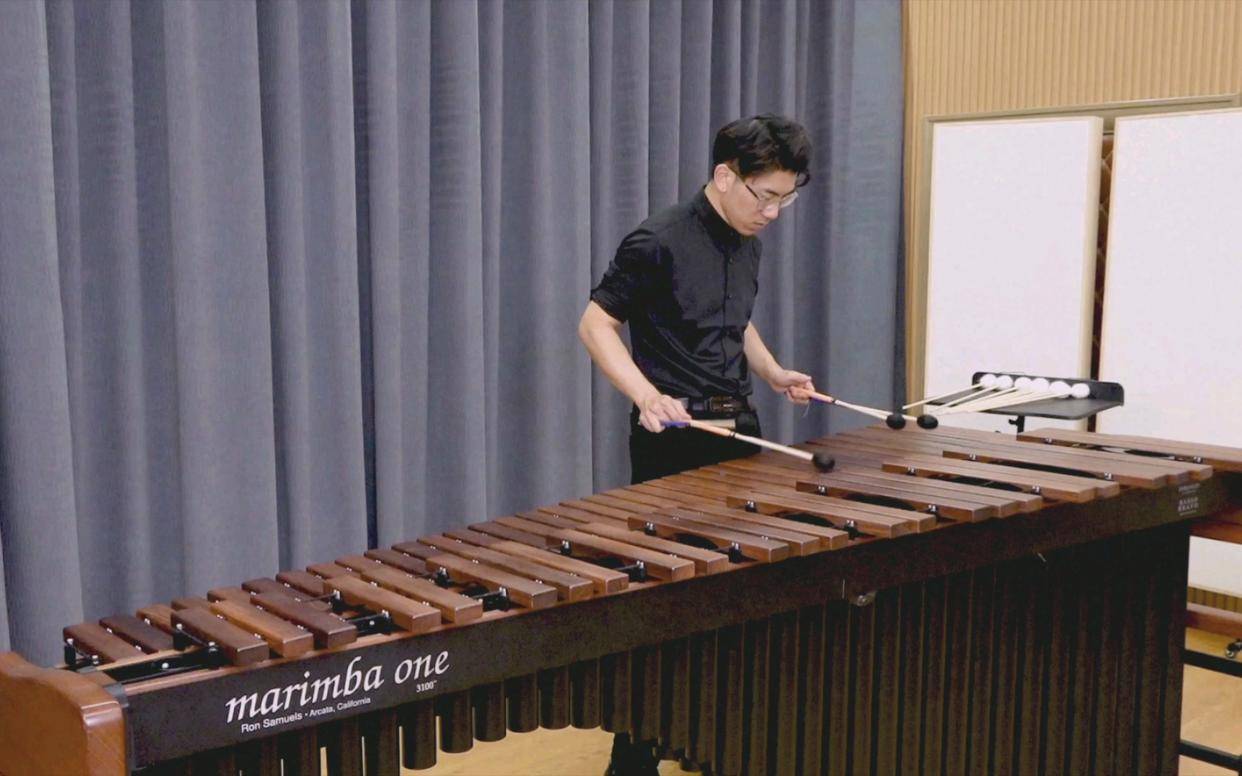 琴都有哪些种类8大常见的乐器琴分享