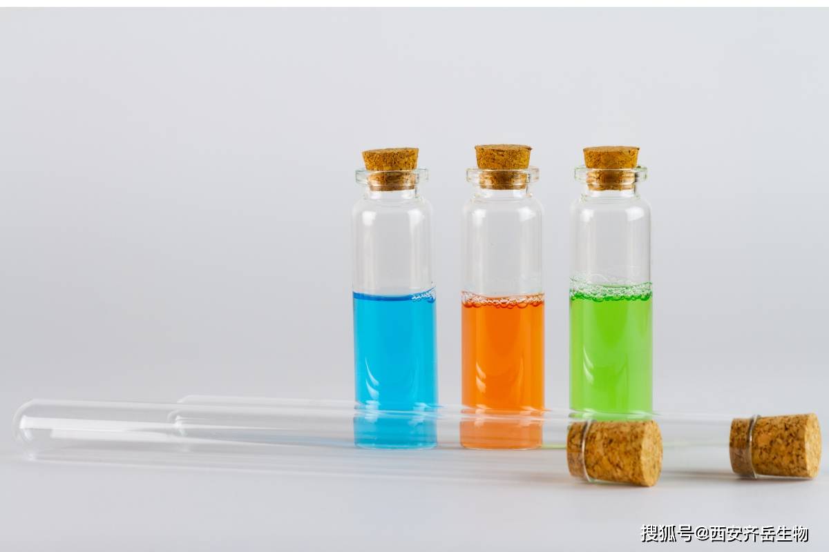 rbhama罗丹明b染料标记甲基丙烯酸酯化透明质酸