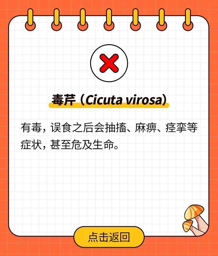 肯定有人要说:"他们中毒是不认识乱采,我只采自己认识的,绝对安全!
