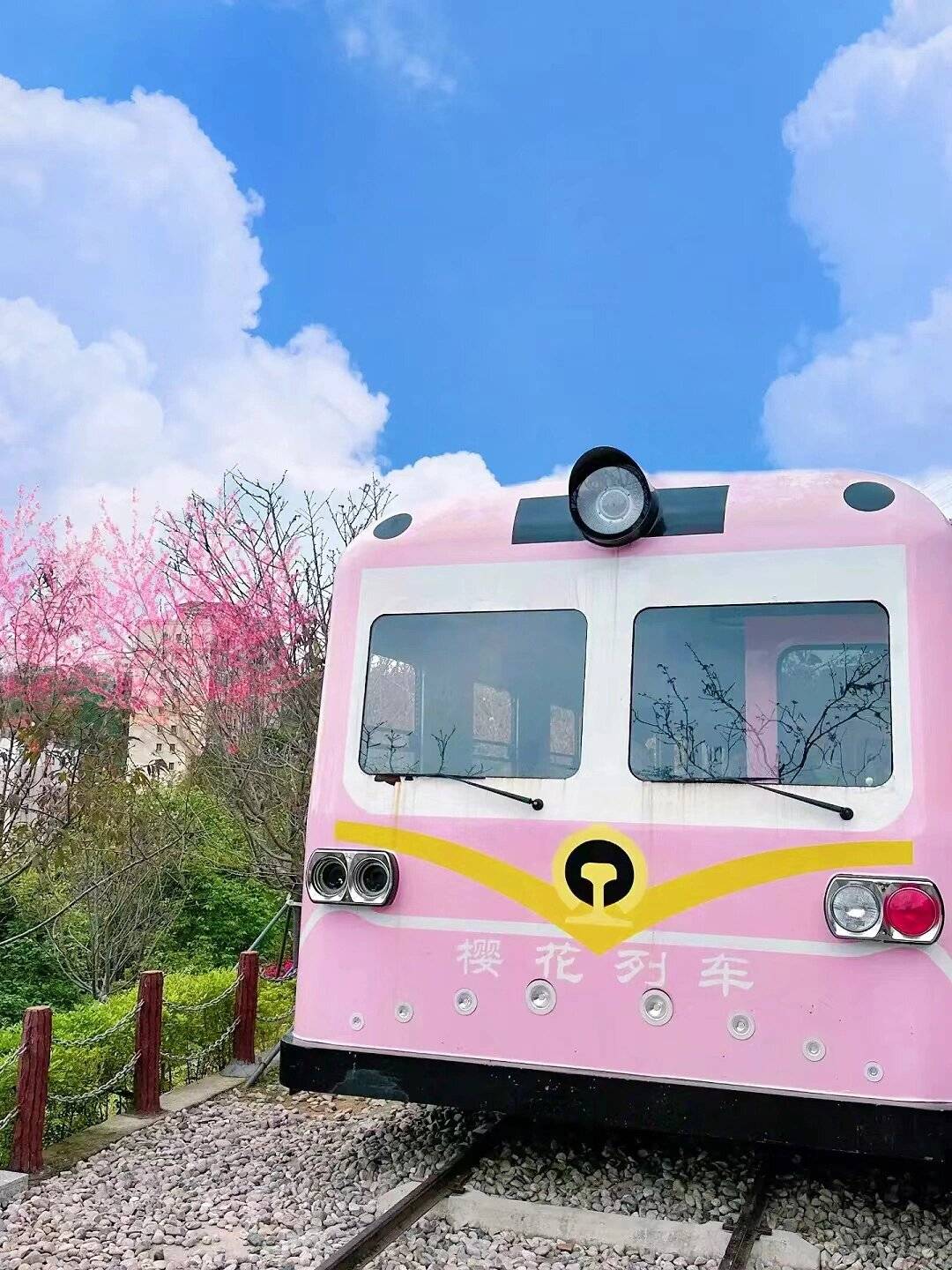 深圳!地铁公交直达!99%人不知道的樱花列车