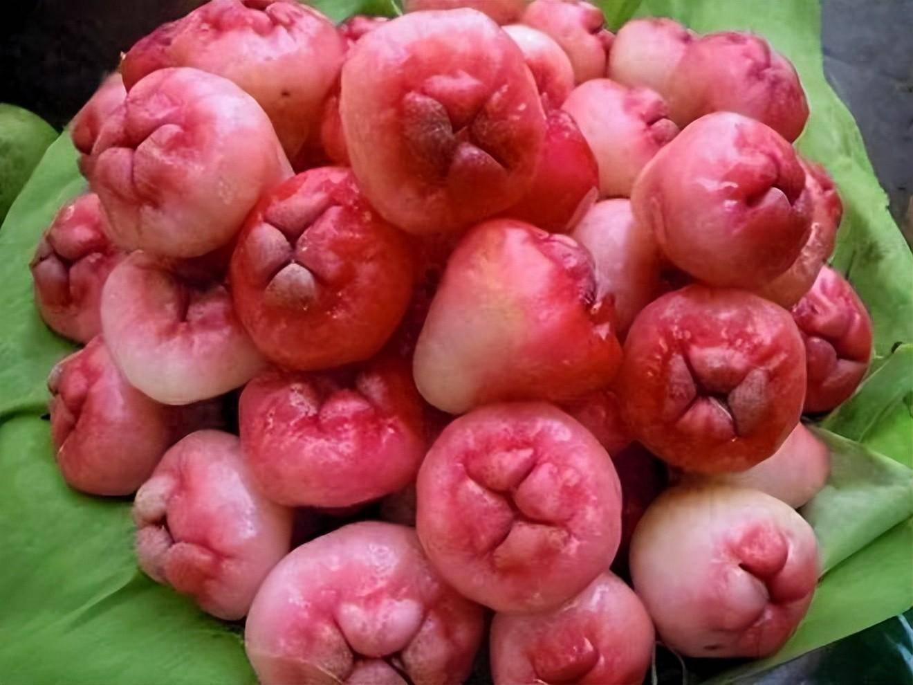 1,外用药物:在此期间我用过马应龙,普济痔疮栓剂,还有一些国外进口