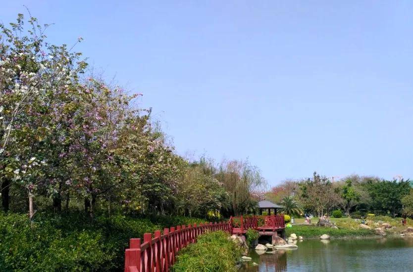 还有花都人民公园▼同样免费开放的综合性公园地址:广州市花都区新华