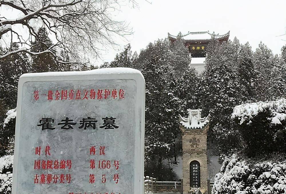 原创汉武帝送去十车肉霍去病却宁愿放臭也不给士兵吃事后才知高明