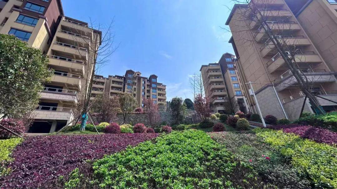 渝黔交界的江津东胜@凤凰绿洲避暑房位于渝南黔北凤凰山,占地2700亩