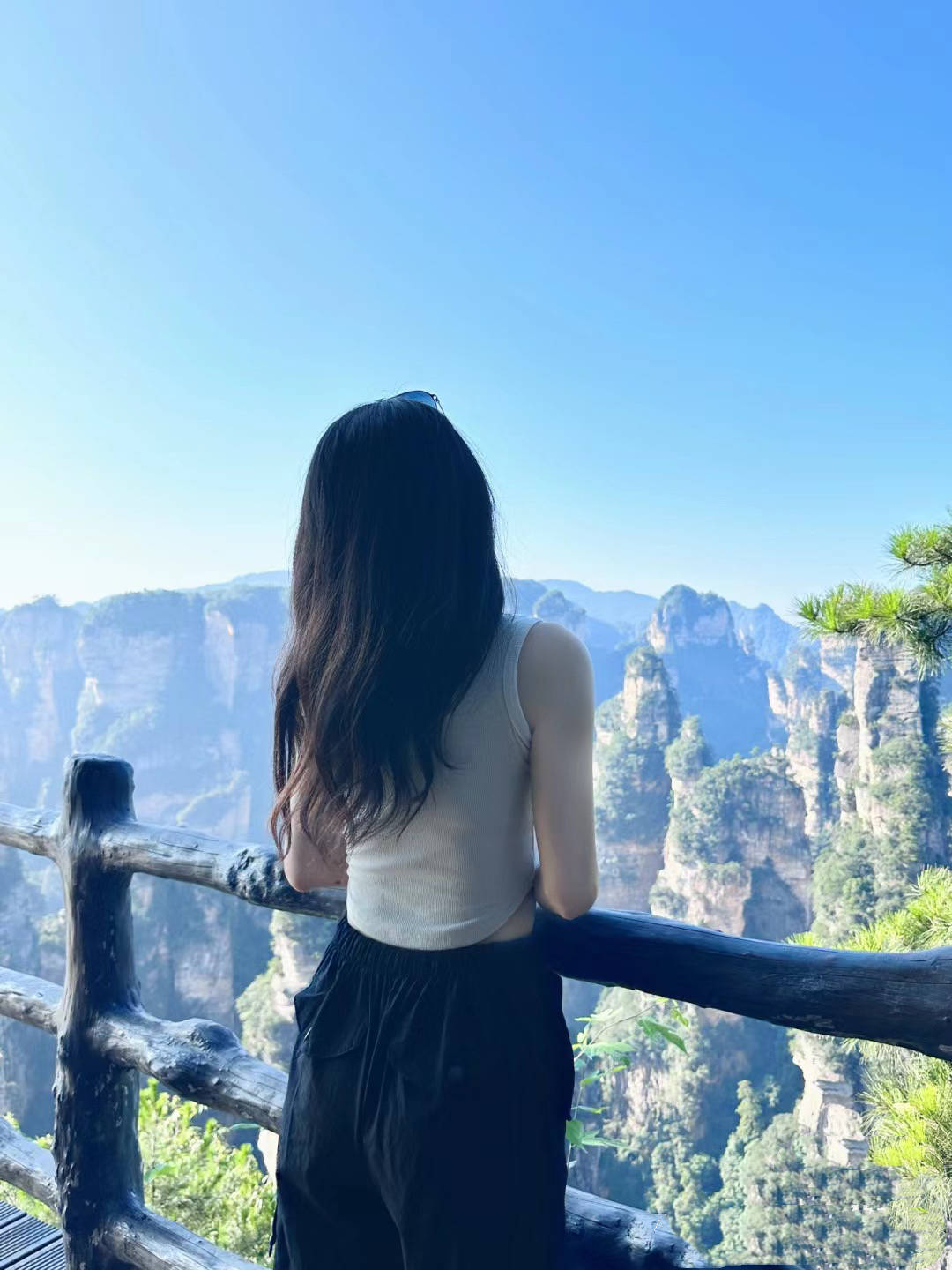 跟团去张家界旅游大概需要多少钱参团至张家界旅游花费