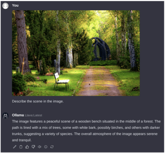 在raspberrypi上运行本地llm和vlm