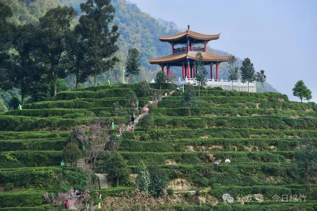 天府旅游名县五觉品绵竹是这样