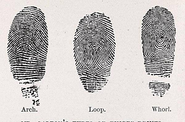 医院出现鬼脸后3岁女孩被欺辱残害警方比对4万枚指纹破案