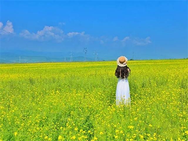 西北兰州十大金牌导游攻略,西北兰州网红知名导游4天3夜费用_旅游