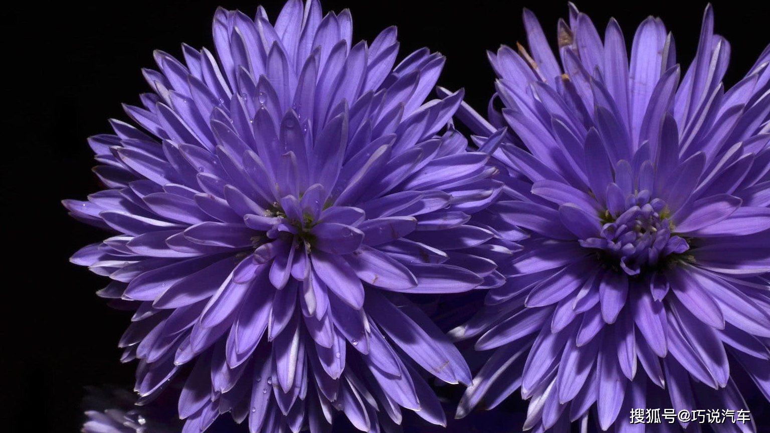 星座中,在一起最完美的星座配对,幸福甜蜜,是天生一对_爱情_双鱼_蝎子