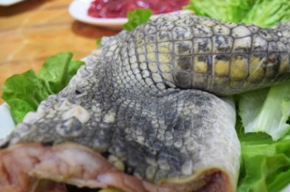 价格也很贵,网友:嘴下留情_剁椒鱼头_鳄鱼_保护