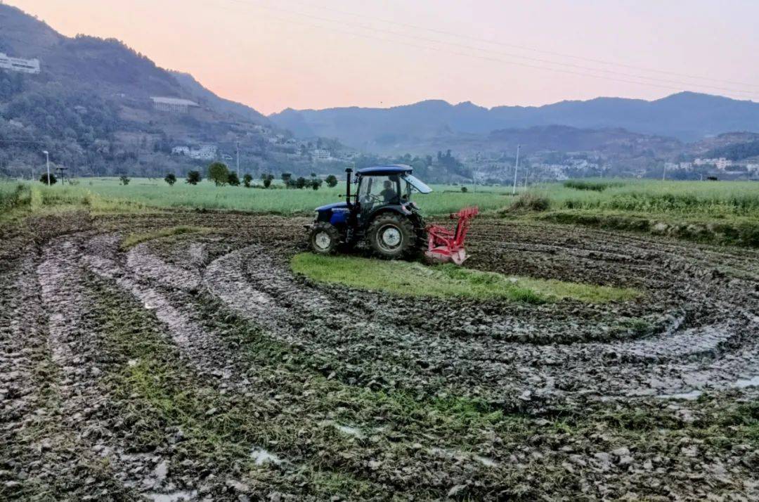 开阳县禾丰乡冬闲田翻耕稻油轮作生产忙
