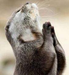 原创演员请就位2李诚儒pk郭敬明节目到底选演技还是选喜好