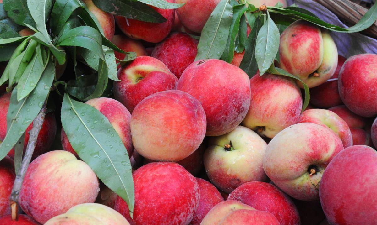 其实,在古人看来,桃子是一种具有神秘