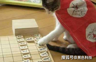 (点评:兄弟,你也是个奇葩一朵.