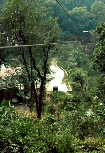 三月与你都是最美的风景免费半价各种景点门票优惠等你抢