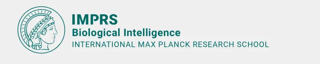 行为_大学_培训