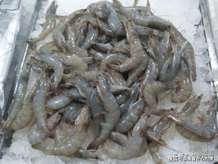 到底买直虾还是弯虾没想到区别这么大可别再买错了