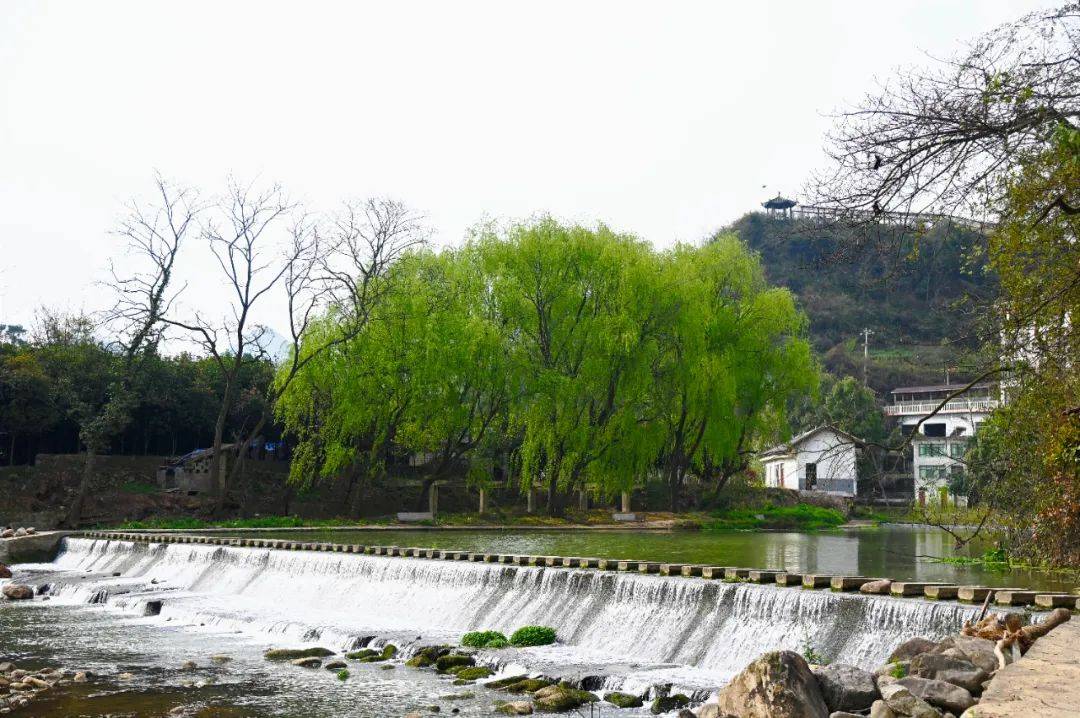 乡野好春光息烽这里春花绚烂碧水涟漪
