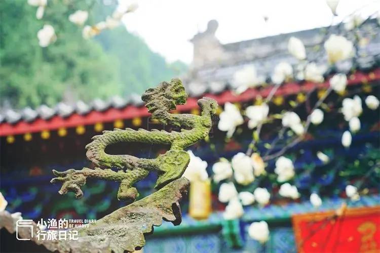 弥陀寺周边的环境也不错,古寺对面有一座小型的山野公园,可以登山,赏