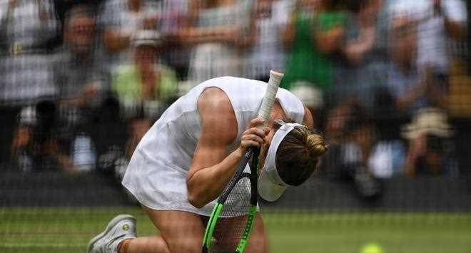 原创哈勒普禁药案胜诉内情网友建议起诉小威教练网友目