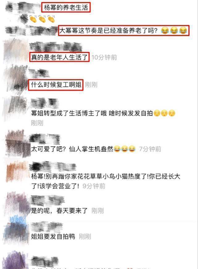 杨幂晒豪宅花园春意盎然,养猫做饭后再添新技能,网友评论扎心了_杨紫