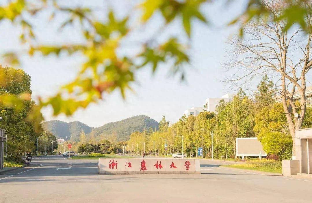 浙江农林大学的定向招生项目有哪些呢