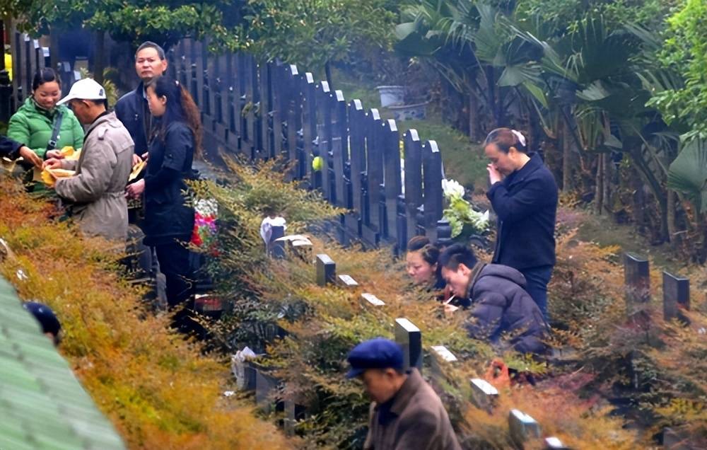 原创清明为啥要上坟难道仅仅是为了祭祀祖先没有那么简单