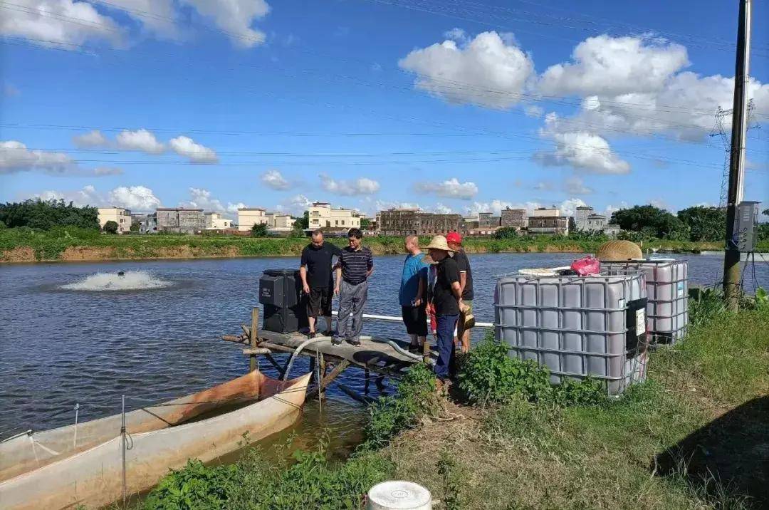 寄生虫危害不容忽视5个必备措施让你的水产安全无忧